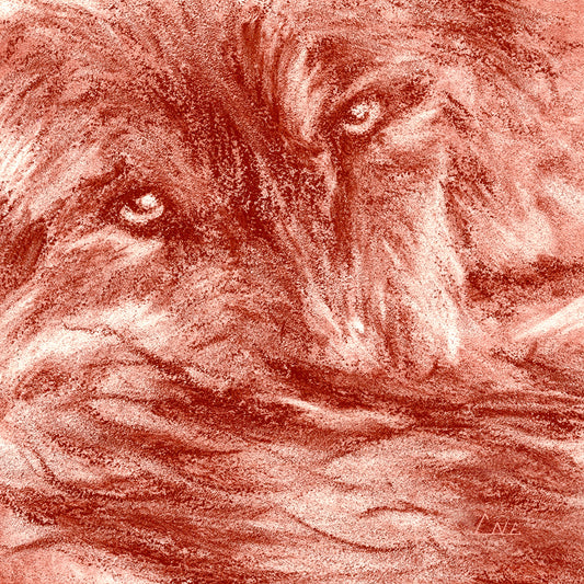 Watch - Evolutions - Enduring Vigil