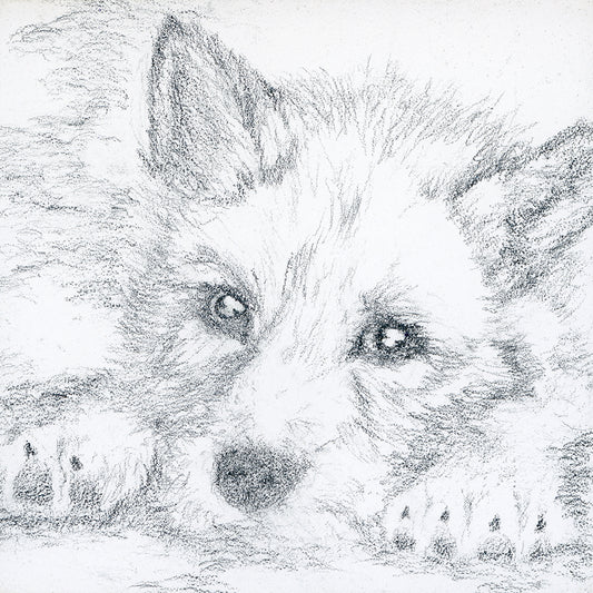 Raise - Embryonic - Resting Young